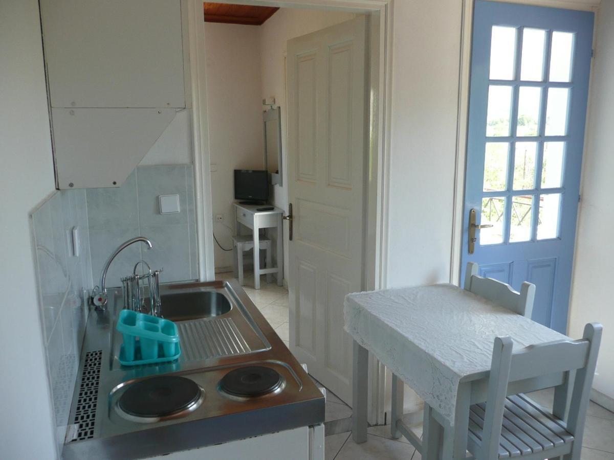 Armonia Apartments Vasilikí Rum bild